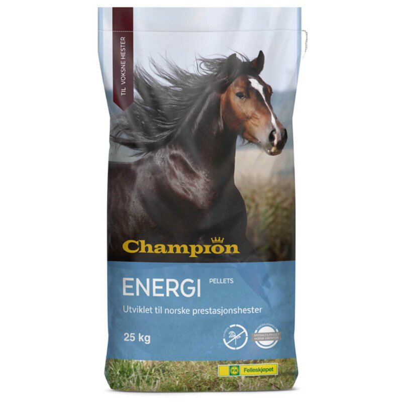 Champion Energi | BondeKompaniet
